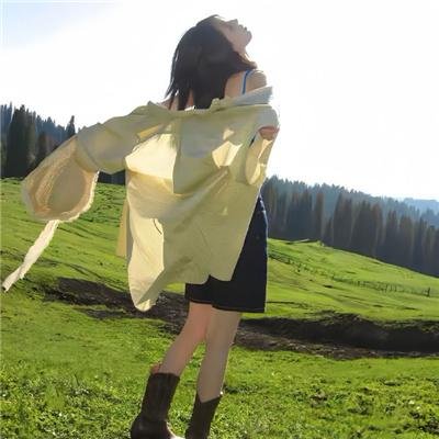 地域骑兵