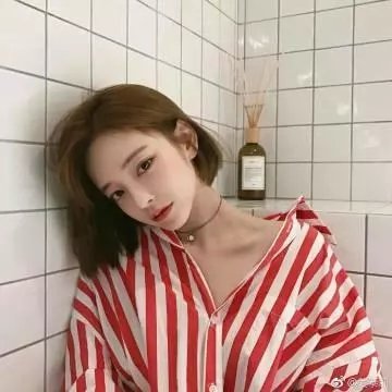 与狼共谋